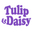 Tulip&Daisy logo